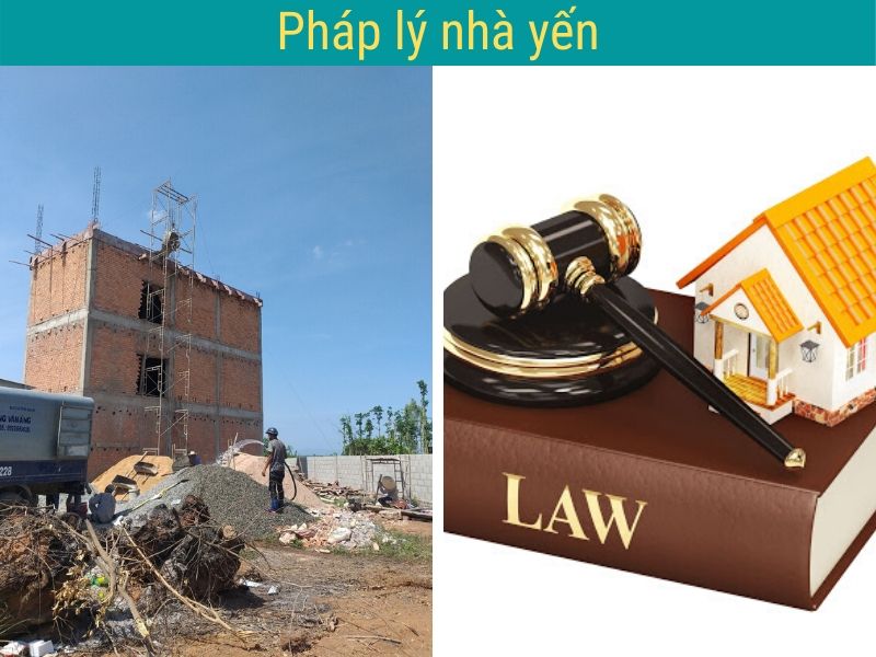 Giấy phép xây dựng nhà nuôi yến theo quy định của pháp luật